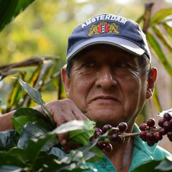 Café de Especialidad Villa Rica Perú